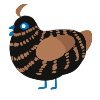 (unnamed), a black and brown chicken with a bar pattern