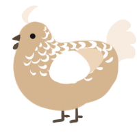 Almond, a beige and cream chicken with a half-lace pattern