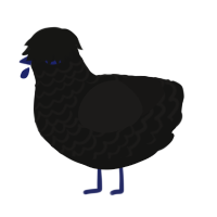 A black and sable chicken with a lace pattern
