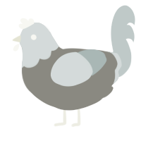 A ash and silver chicken with a head pattern