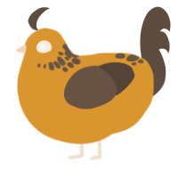 Squash, a orange and bark chicken with a neck-speckle pattern