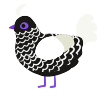 A sable and white chicken with a lace pattern