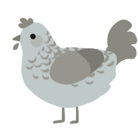 Happily Ever After, a silver and ash chicken with a half-lace pattern