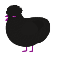 A sable chicken with a lace pattern