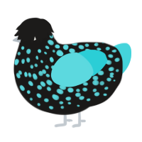 A sable and aqua chicken with a speckle pattern