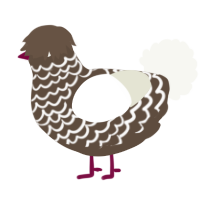 A bark and white chicken with a lace pattern