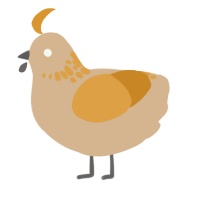 Cheese Knife, a beige and orange chicken with a neck-speckle pattern