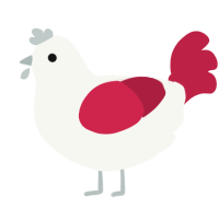 Rubi, a white and crimson chicken
