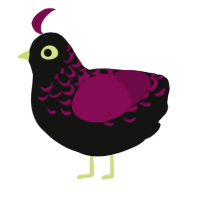 (unnamed), a black and wine chicken with a half-lace pattern