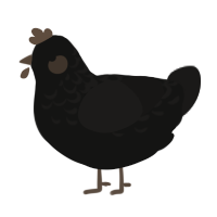 A black and sable chicken with a half-lace pattern