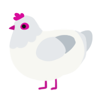 Canopus, a white and mist chicken with a head pattern