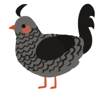 (unnamed), a grey and sable chicken with a lace pattern