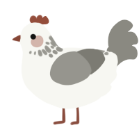 pending, a white and ash chicken with a neck-speckle pattern