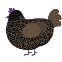 hmmmm, a black and bark chicken with a double-lace pattern