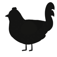 Squid, a black chicken with a speckle pattern