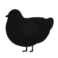 Aandeg, a black and sable chicken with a half-lace pattern