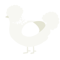 Snow Globe, a white chicken with a neck-speckle pattern