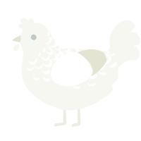 A white chicken with a half-lace pattern