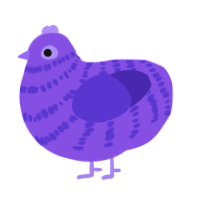 A blurple and indigo chicken with a bar pattern