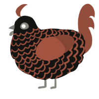A black and russet chicken with a lace pattern