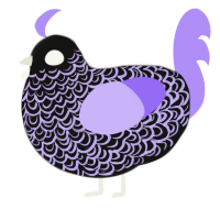 Proclamation, a black and lilac chicken with a double-lace pattern