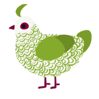 Temperance, a white and chartreuse chicken with a double-lace pattern