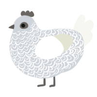 Brocade, a mist and white chicken with a double-lace pattern