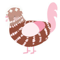 Rose, a russet and rose chicken with a bar pattern