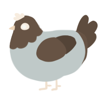 Taupe, a silver and bark chicken with a head pattern