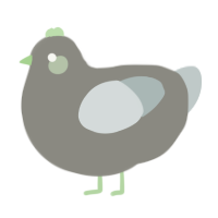 Elizabeth the wise, a ash and silver chicken