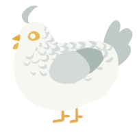 (unnamed), a white and silver chicken with a half-lace pattern