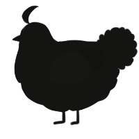 Darke, a black chicken