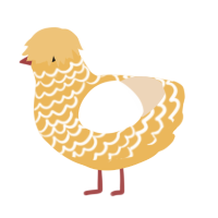 Omelette, a honey and cream chicken with a lace pattern