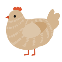 A beige chicken with a bar pattern