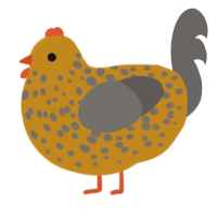 A ochre and grey chicken with a speckle pattern