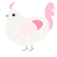 A white and rose chicken with a bar pattern
