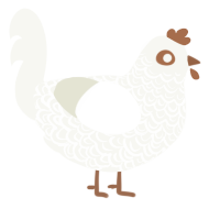 A white chicken with a double-lace pattern