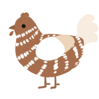 Sweet Cocoa, a brown and cream chicken with a bar pattern