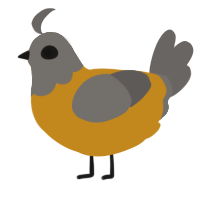 A ochre and grey chicken with a head pattern