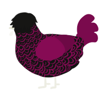 A black and wine chicken with a double-lace pattern