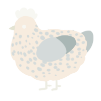 ghost, a cream and silver chicken with a speckle pattern