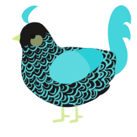 A sable and aqua chicken with a double-lace pattern