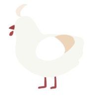 A white and cream chicken