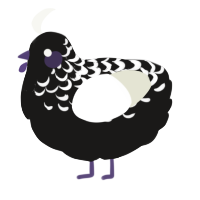 A sable and white chicken with a half-lace pattern
