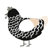 Coal Ice Cream, a black and cream chicken with a lace pattern