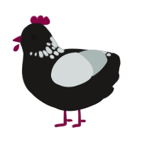 A sable and silver chicken with a neck-speckle pattern