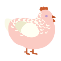 Rosette, a rose and white chicken with a half-lace pattern