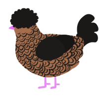 Wonderful, a brown and sable chicken with a double-lace pattern