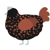 black and tan, a sable and russet chicken with a speckle pattern