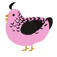 (unnamed), a pink and sable chicken with a half-lace pattern
